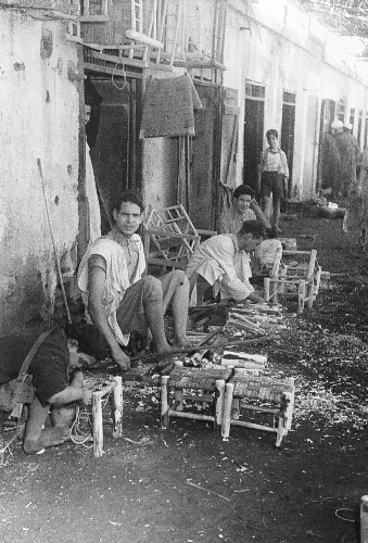 Fabricants de chaises et tabourets en bois de laurier